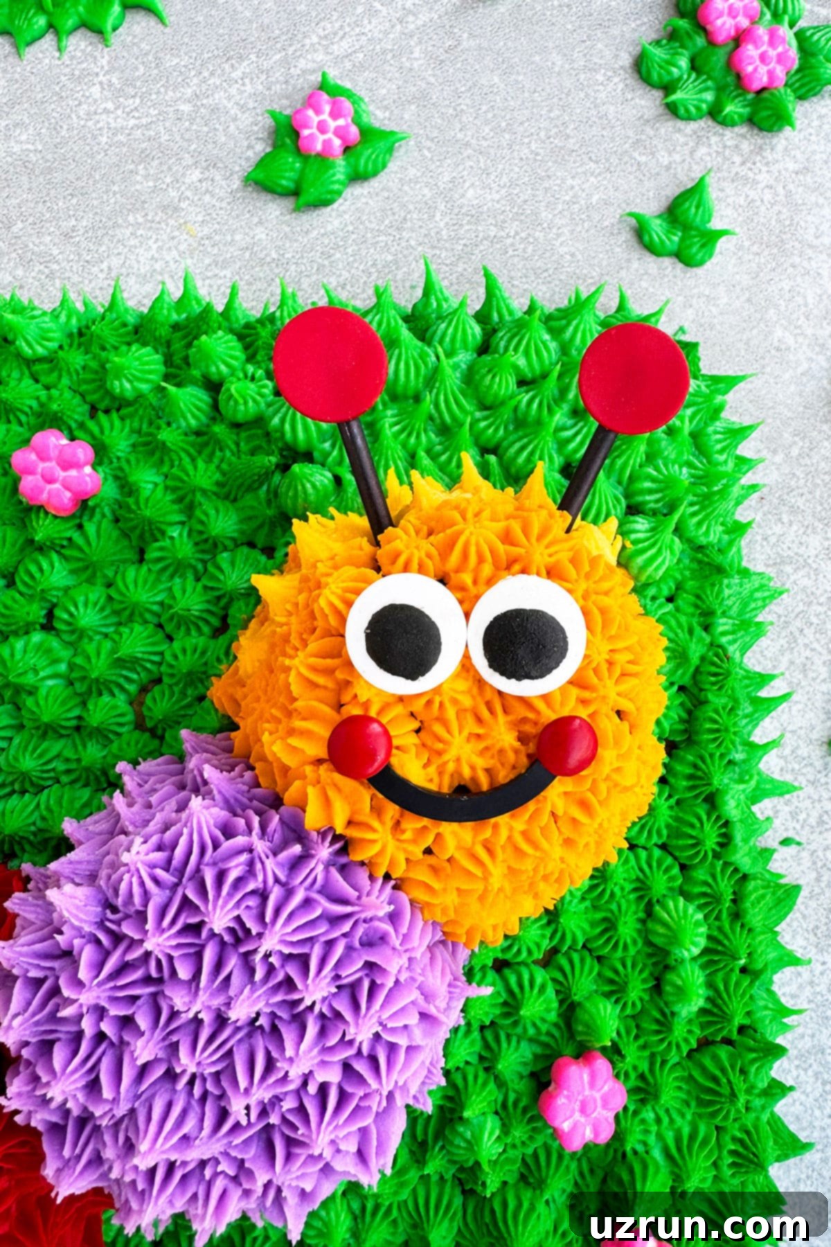 Easy DIY Homemade Caterpillar Birthday Cake- Closeup Shot of the Face. 