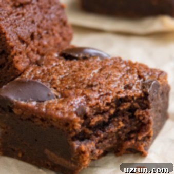 Delightfully Simple Gluten Free Black Bean Brownies 11 Easy Black Bean Brownie Recipe (Gluten Free)