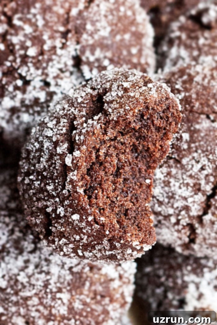 Espresso Mocha Cookies 3 Partially Eaten Chocolate Espresso Cookies- Closeup Shot