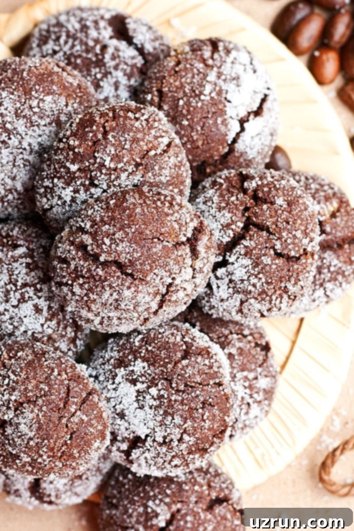 Espresso Mocha Cookies 4 Homemade Mocha Cookies on Beige Plate- Overhead Shot