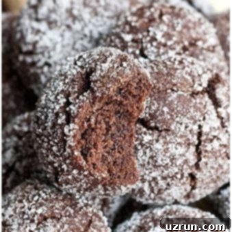 Espresso Mocha Cookies 5 Coffee Cookies With Espresso Mocha Flavors- Partially Eaten.