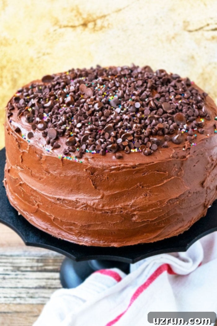 Easy Homemade Chocolate Cake With Chocolate Frosting and Chocolate Chips Decoration