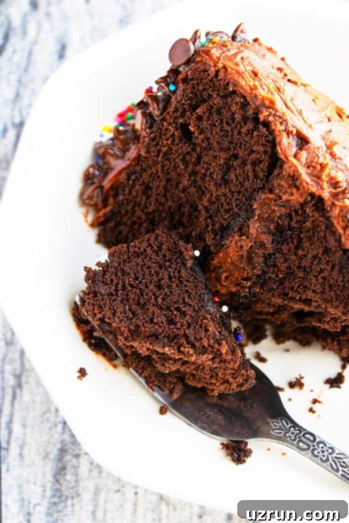 Ultimate Homemade Triple Chocolate Cake 4 Closeup Shot of Spoonful of Moist Chocolate Cake From Scratch
