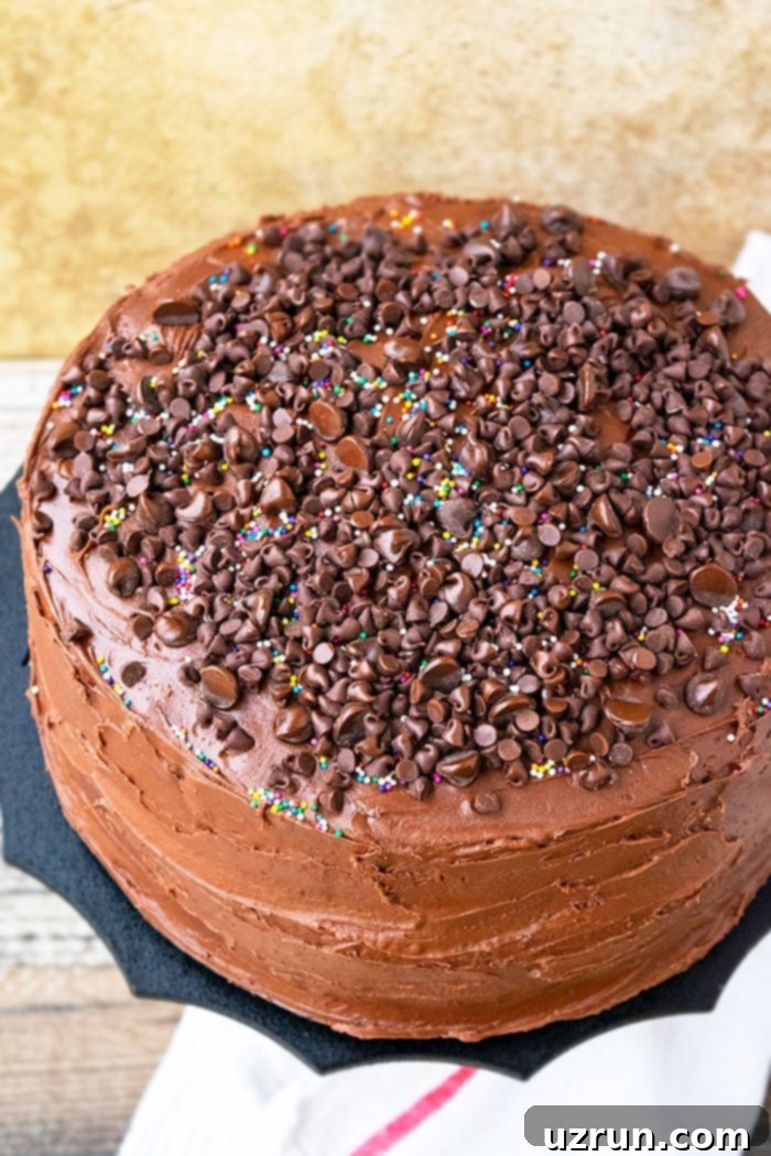 Ultimate Homemade Triple Chocolate Cake 5 Homemade Triple Chocolate Cake with Chocolate Frosting on Black Stand and Rustic Wood Background