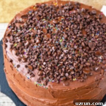 Ultimate Homemade Triple Chocolate Cake 6 Easy Moist Homemade Triple Chocolate Cake Recipe From Scratch with Chocolate Frosting on Black Stand and Rustic Wood Background