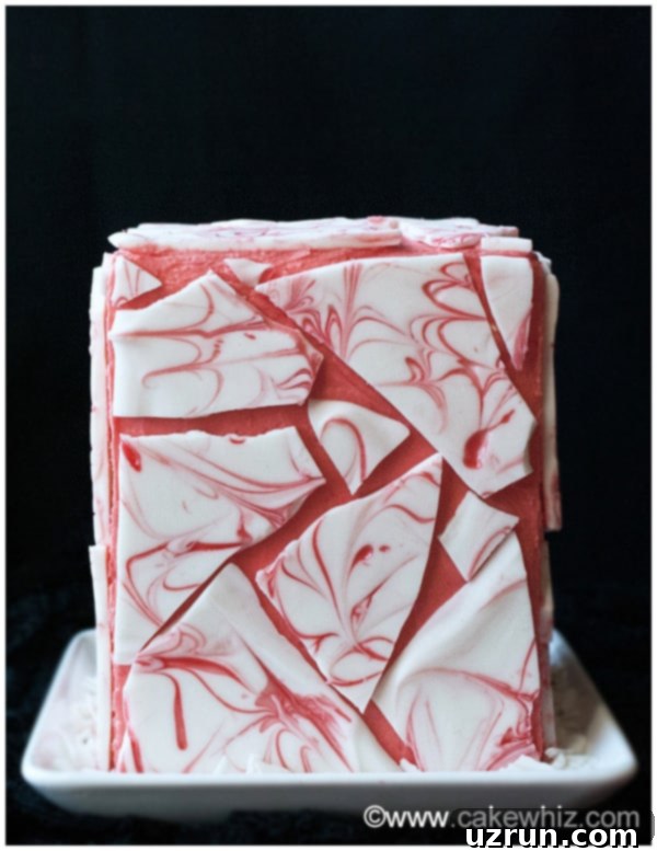 Easy Chocolate Bark Cake on White Dish With Black Background