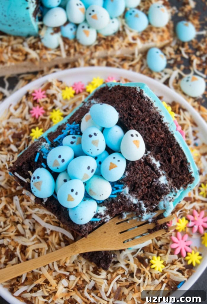 Surprise Inside Easter Robin Egg Cake 6 Slice of Chocolate Cake With Surprise Filling on White Plate.