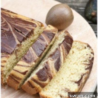 Easy Avocado Cake Recipe with Chocolate Swirls