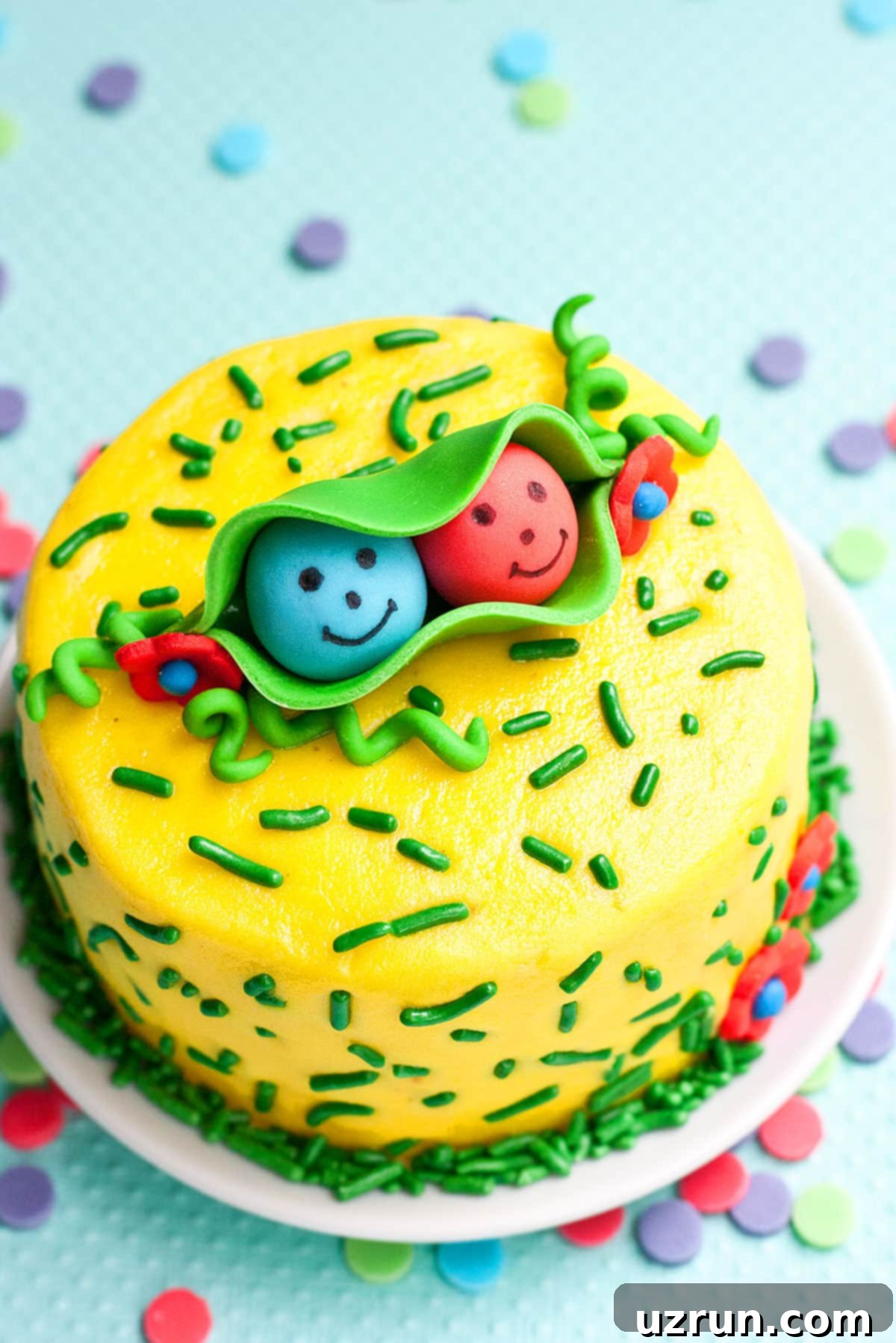 Easy Twins Birthday Cake on a White Serving Dish