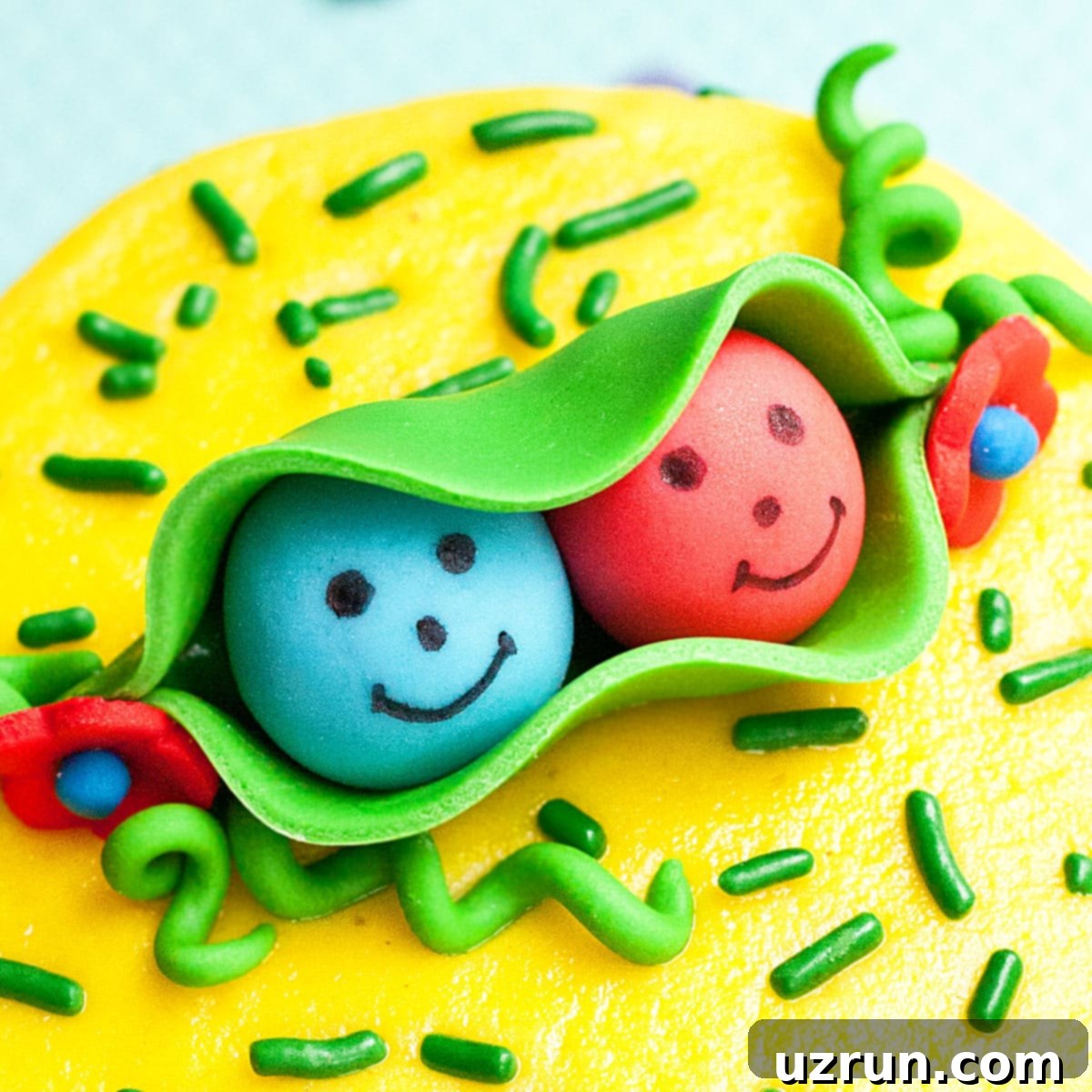 Sweet Peas Birthday Cake for Twins 4 Two Peas in a Pod Cake Topper on White Serving Dish- Closeup Shot
