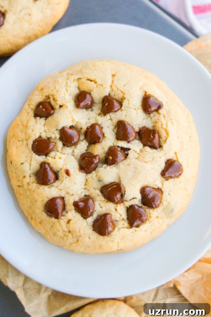 Best Jumbo Soft and Chewy Chocolate Chip Cookies 6 Large Cookie on White Dish- Overhead Shot.