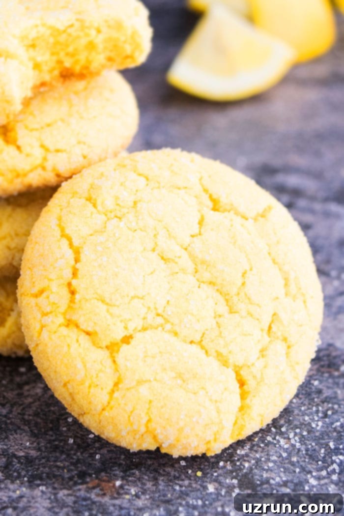 Easy Lemon Cookies on Rustic Gray Background- Closeup Shot.