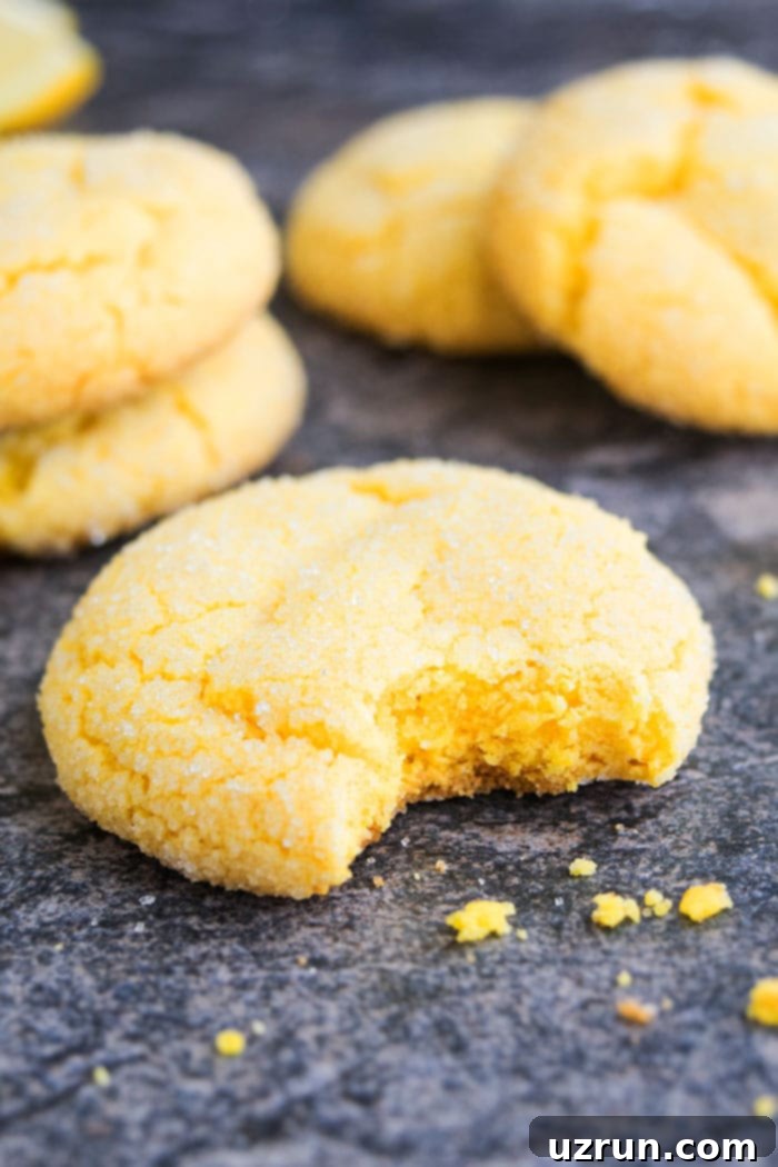 Effortless Homemade Lemon Cookies 3 Partially Eaten Cookie on Rustic Gray Background.