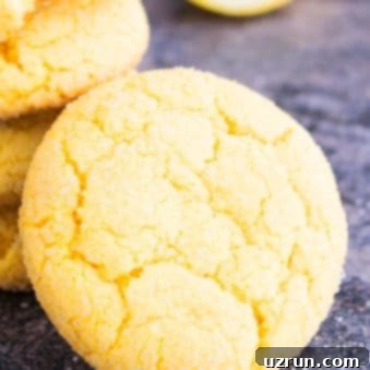 Effortless Homemade Lemon Cookies 5 Easy Lemon Cookies on Rustic Gray Background- Closeup Shot.