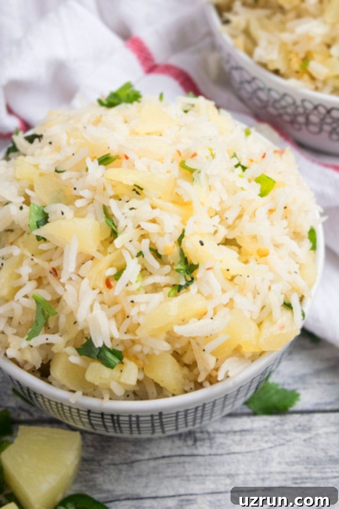 Tropical Heat One-Pan Rice 3 Pineapple Rice Recipe - Close up of finished dish