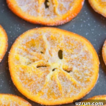Candied Orange Slices and Peels 5 Easy Candied Orange Slices on Gray Tray.