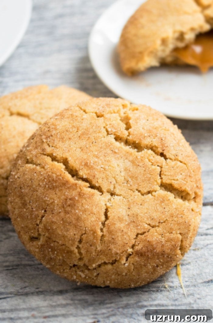 Soft and Chewy Caramel Snickerdoodles 6 Best Snickerdoodle Cookies on Rustic Gray Background.
