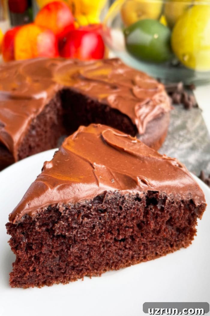 Decadent Vegan Chocolate Cake 2 Easy Vegan Chocolate Cake Slice on White Plate With Rustic Gray Background