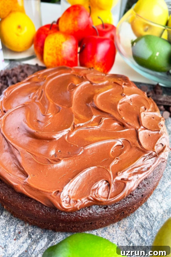 Decadent Vegan Chocolate Cake 3 Best Vegan Cake With Chocolate Frosting and Fruits in the Background- Angled Shot