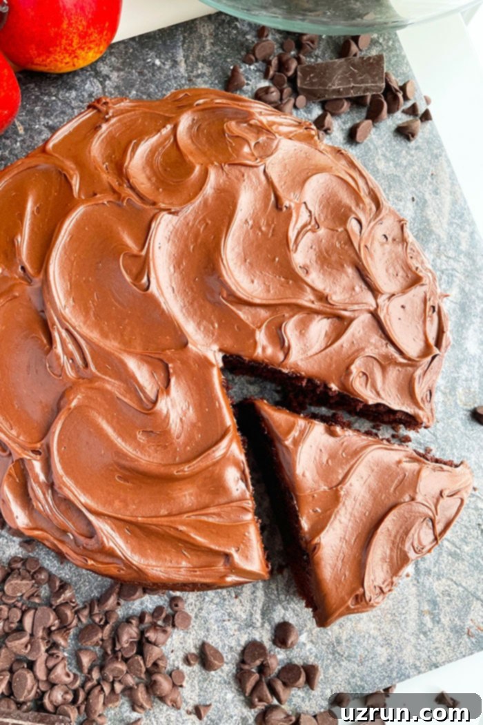Decadent Vegan Chocolate Cake 4 Homemade Eggless Chocolate Cake with Vegan Chocolate Frosting on Rustic Gray Background