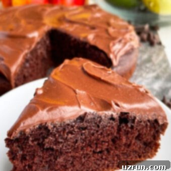 Decadent Vegan Chocolate Cake 5 Easy Vegan Chocolate Cake Slice on White Plate With Rustic Gray Background