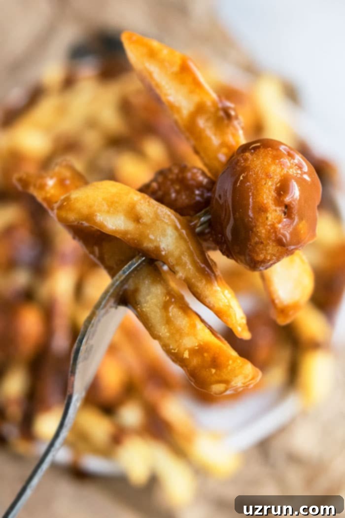 Best Poutine Fries Recipe