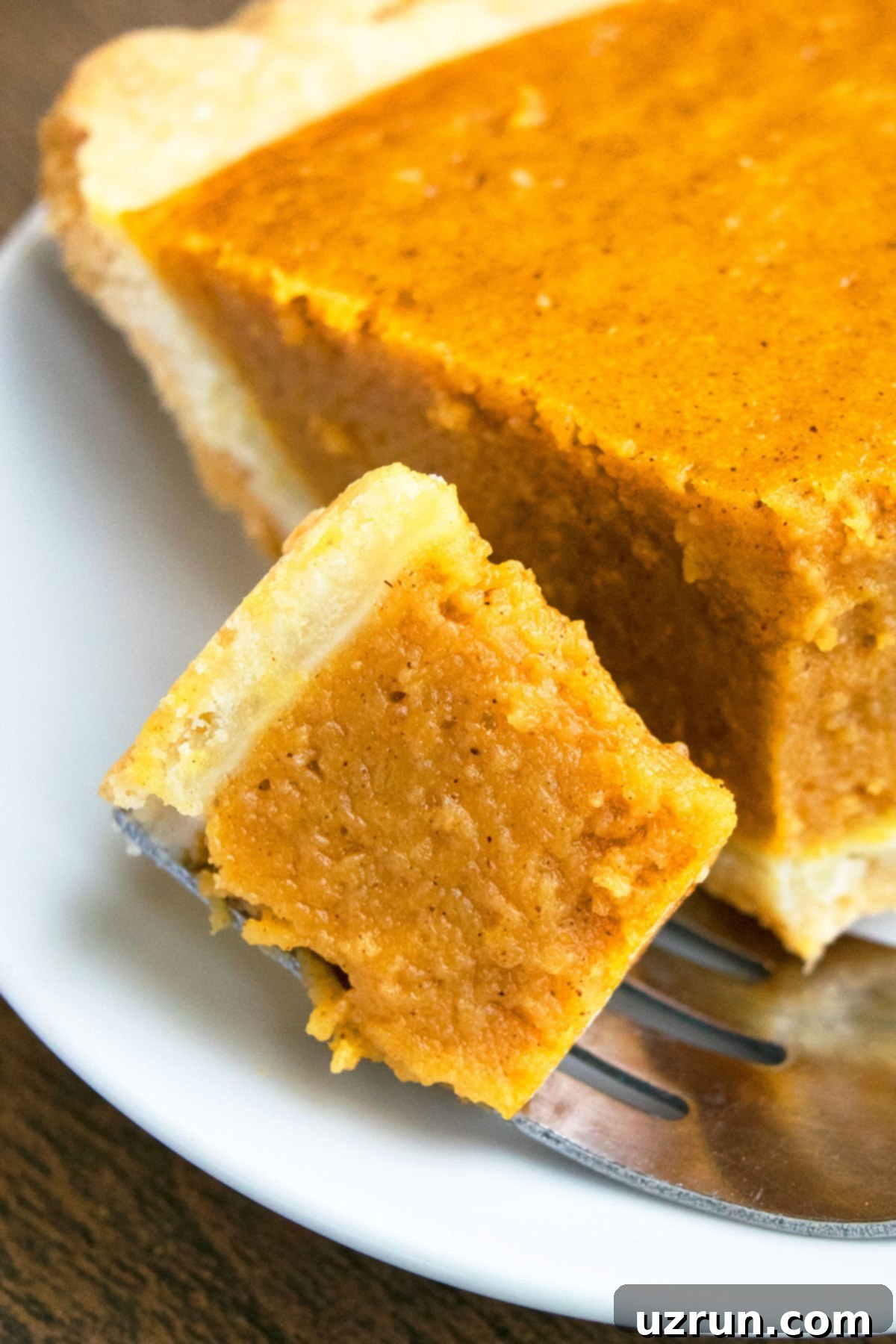 Easy 5 Ingredient Pumpkin Pie 4 Fork Full of Pie- Closeup Shot.