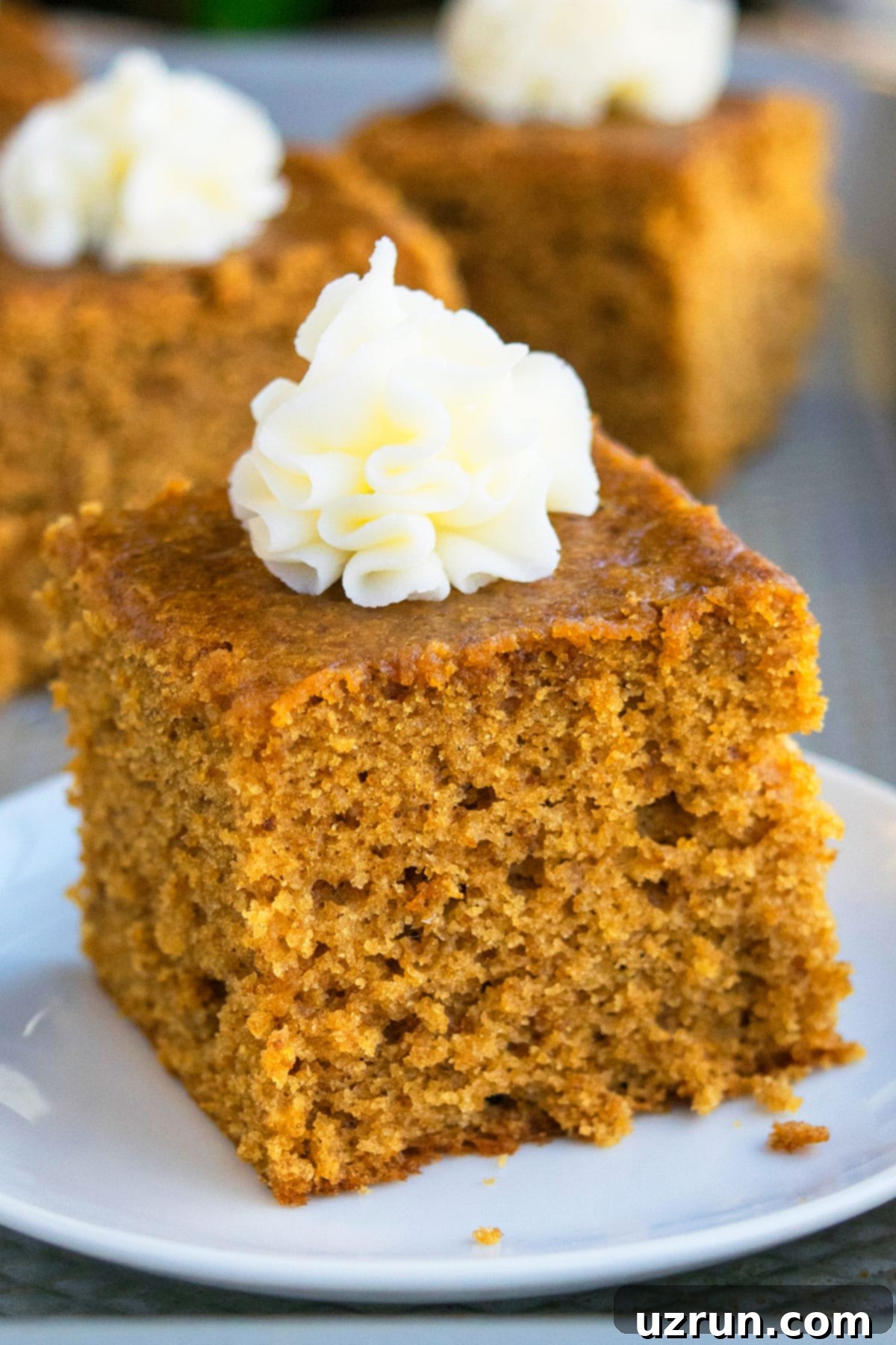 Easy Gingerbread Slice On White Dish, garnished with cream cheese frosting. 