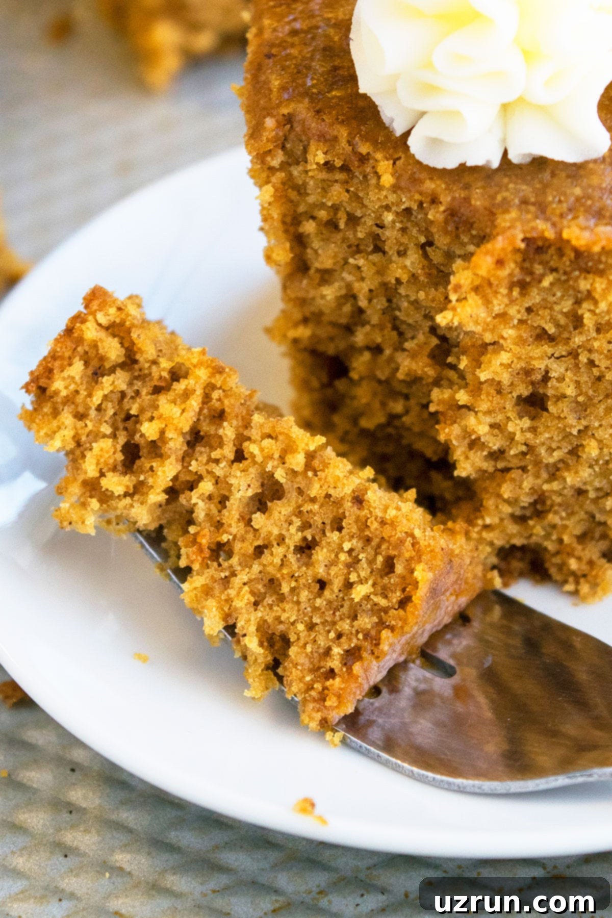 Moist Gingerbread Cake Made Easy 3 Fork Full of Cake on White Dish, showing the moist texture of homemade gingerbread cake.