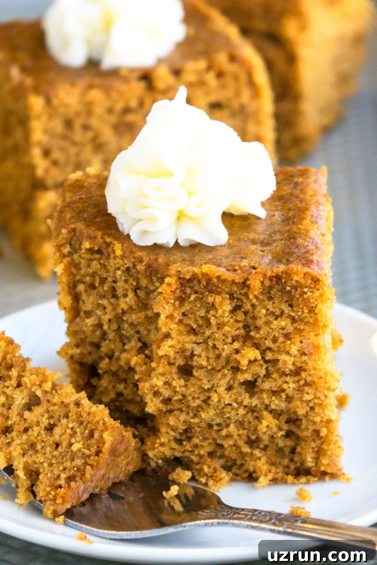 Moist Gingerbread Cake Made Easy 4 Best Gingerbread Cake- Partially Eaten on White dish, highlighting the soft, moist interior.