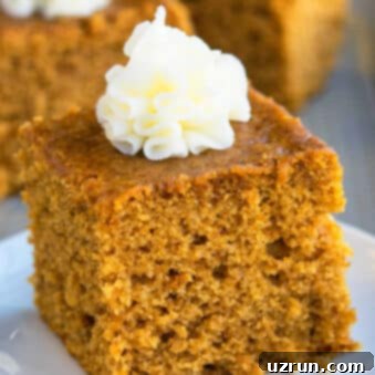 Moist Gingerbread Cake Made Easy 5 Easy Gingerbread Recipe (Cake Slice) On White Dish.