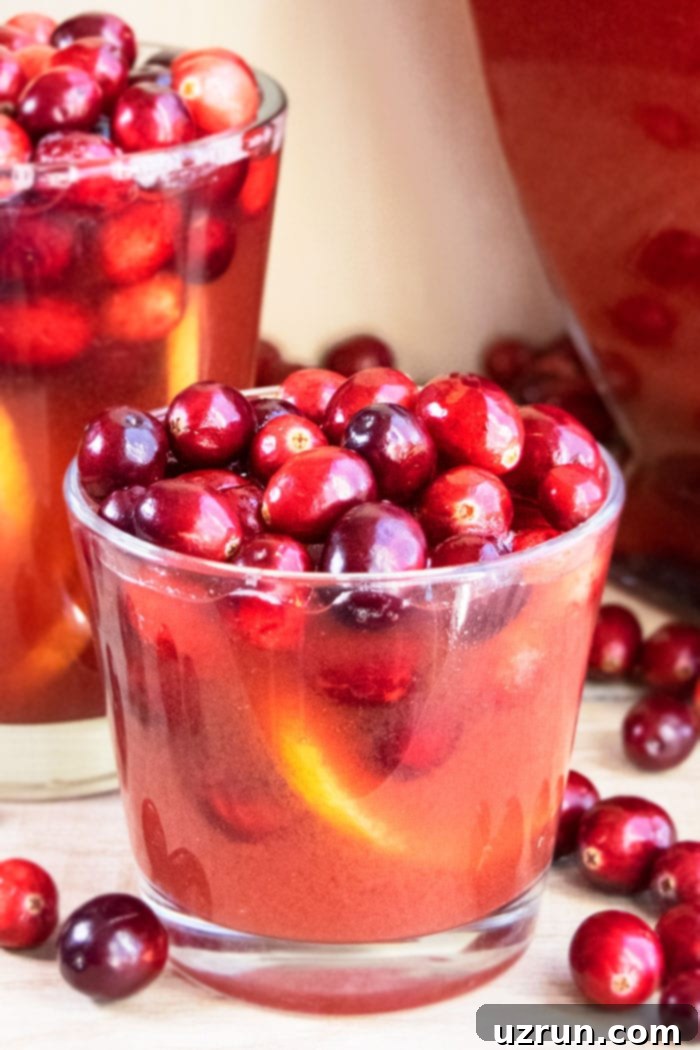 Non Alcoholic Christmas Punch