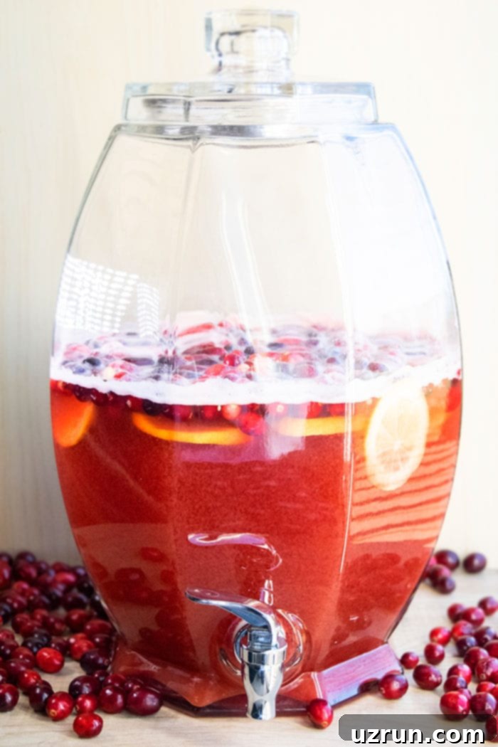 Sparkling Christmas Mocktail 3 Best Christmas Morning Punch
