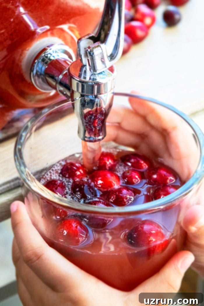 Sparkling Christmas Mocktail 4 Cranberry Christmas Punch For Kids