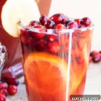 Sparkling Christmas Mocktail 6 Easy Christmas Punch Recipe (Non Alcoholic)