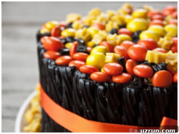 halloween twizzler cake 17 Closeup Shot of M&M Candies on Top of Cake