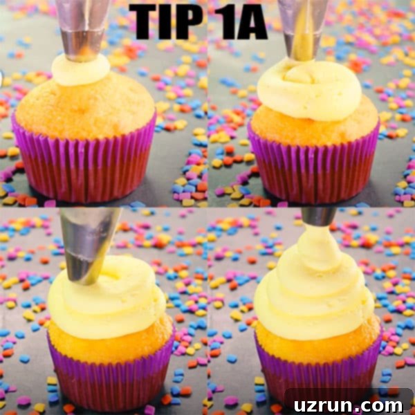 Mastering Cupcake Decoration 12 Collage Image With Step by Step Pictures on How to Pipe Cupcake Swirl With Tip 1A