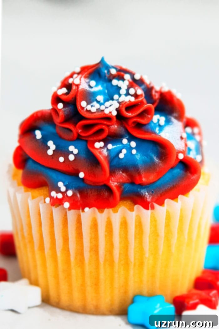 Mastering Cupcake Decoration 13 Two Tone Swirled Frosting on Vanilla Cupcake With White Background