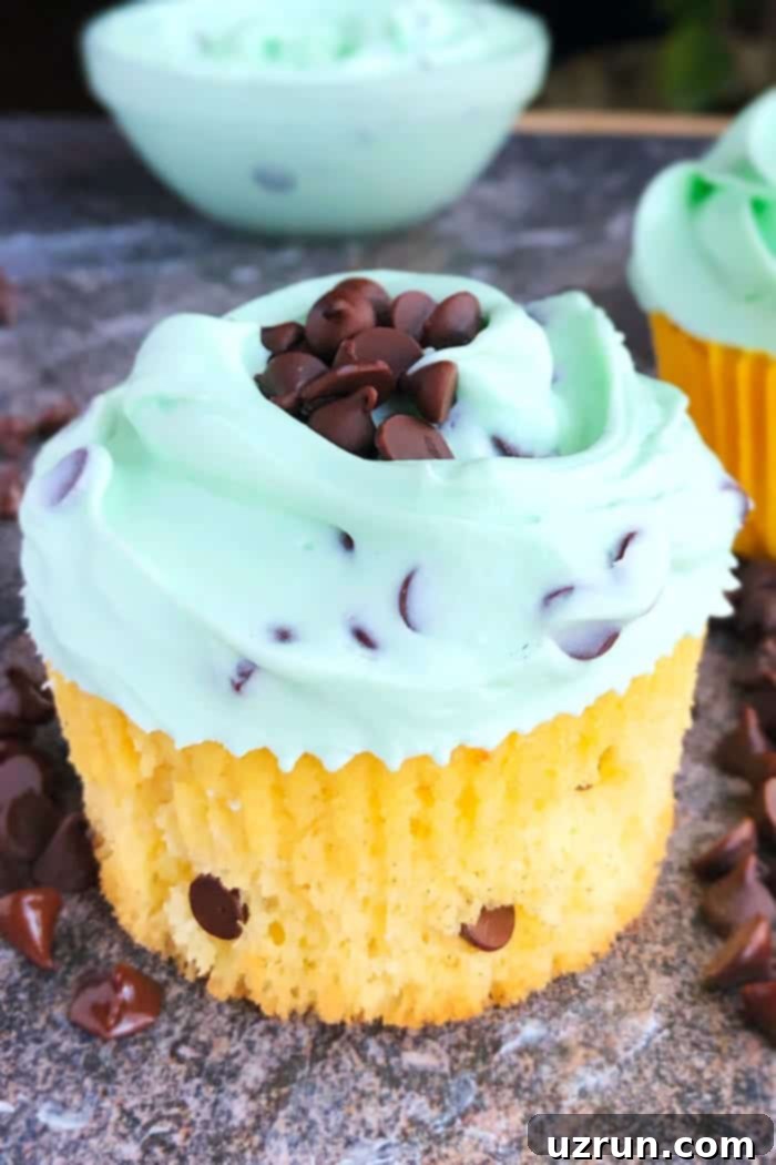 Mastering Cupcake Decoration 14 Cupcake Decorated With Spatula on Rustic Gray Background