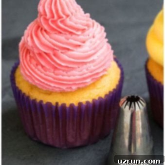 Mastering Cupcake Decoration 20 How to Decorate Cupcakes With Buttercream Icing and Pastry Tips