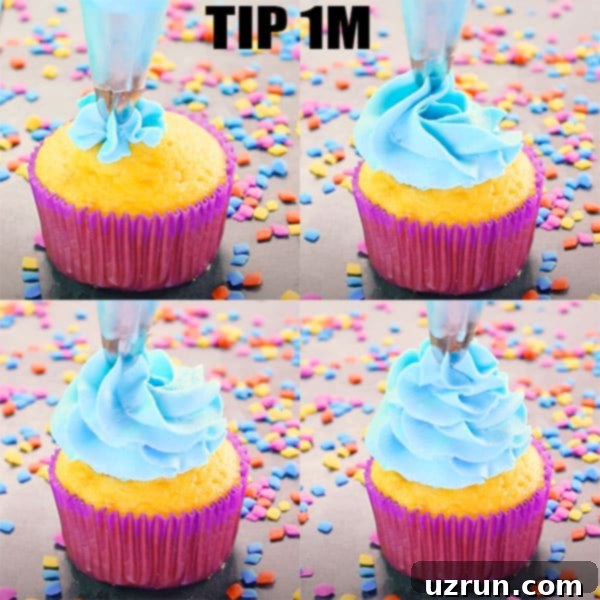 Mastering Cupcake Decoration 6 Collage Image With Step by Step Pictures on How to Pipe Cupcake Swirl With Tip 1M
