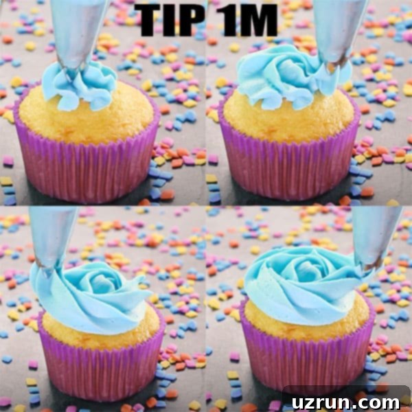 Mastering Cupcake Decoration 7 Collage Image With Step by Step Pictures on How to Pipe Cupcakes With Tip 1M in a Rose