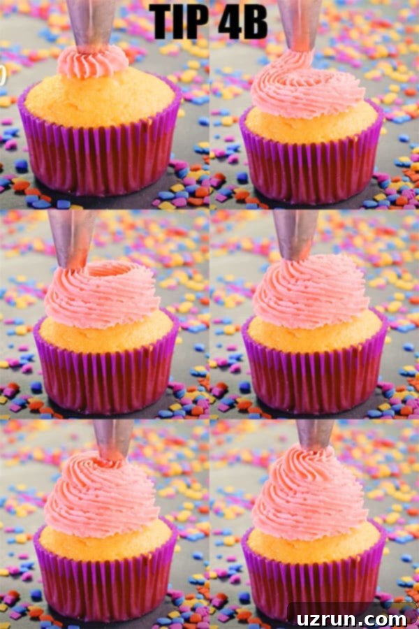 Mastering Cupcake Decoration 10 Collage Image With Step by Step Pictures on How to Pipe Cupcake Swirl With Tip 4B