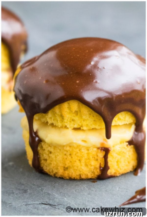 Easy Boston Cream Pie Cupcakes on Gray Background, showing a full batch ready to be served.