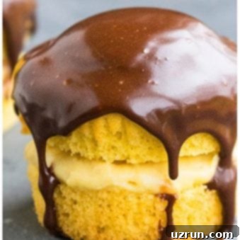 Boston Cream Dream Cupcakes 5 Easy Boston Cream Cupcakes on Gray Background
