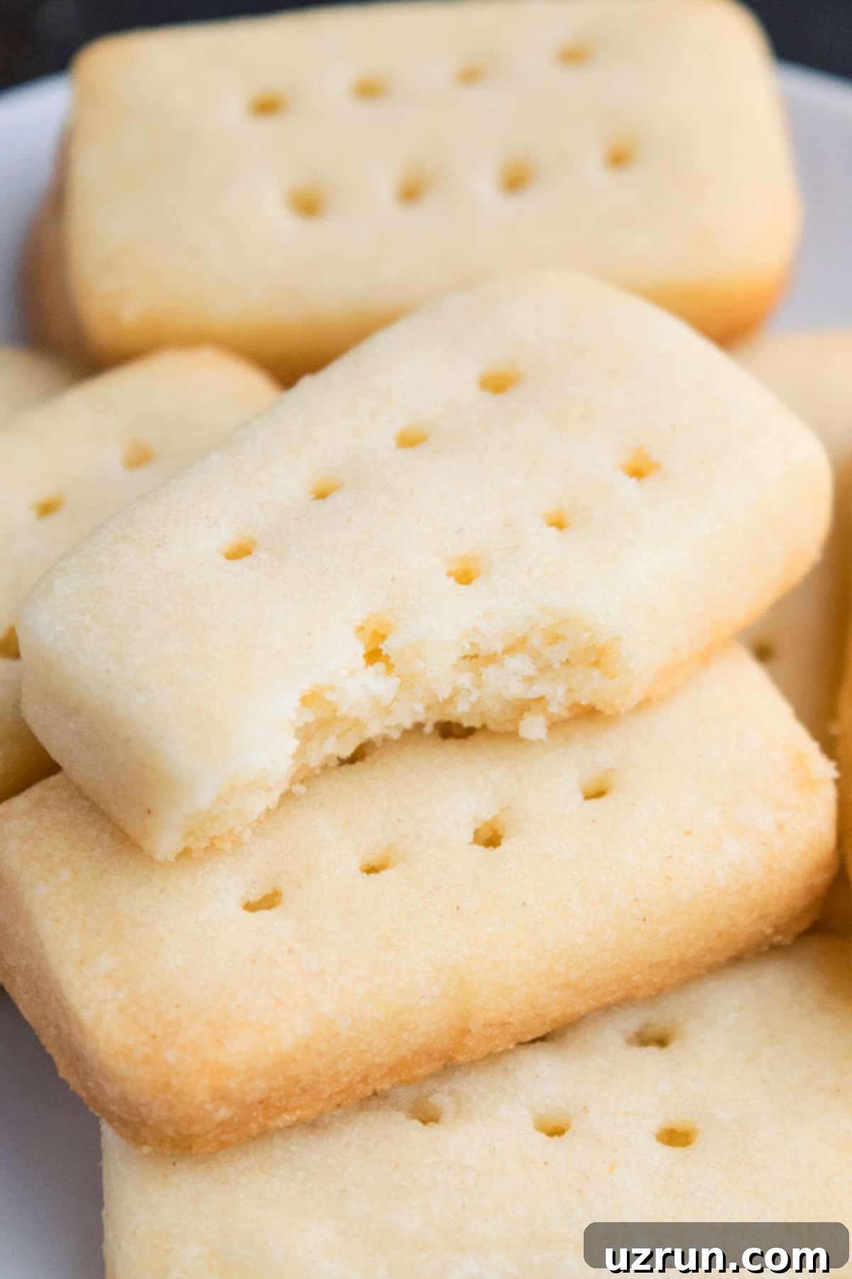 Best 3-Ingredient Shortbread Cookies 3 Partially Eaten Cookie- Closeup Shot.