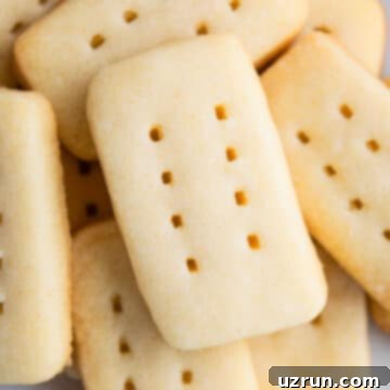 Best 3-Ingredient Shortbread Cookies 5 Easy Shortbread Cookies on White Dish.