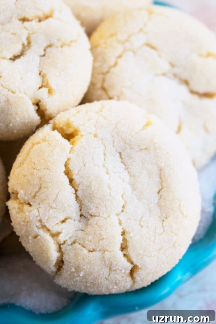 Easy Sugar Cookie Recipe - Soft and Chewy