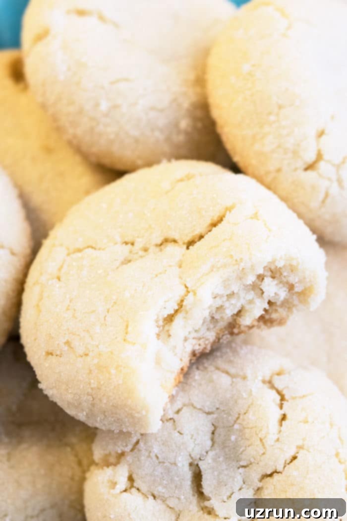 Effortless Soft-Chewy Sugar Cookies 3 How to Make Best Soft and Chewy Sugar Cookies