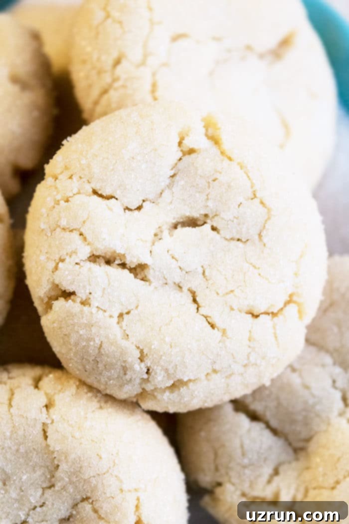 Effortless Soft-Chewy Sugar Cookies 4 Soft and Chewy Sugar Cookies (No Chill Recipe)